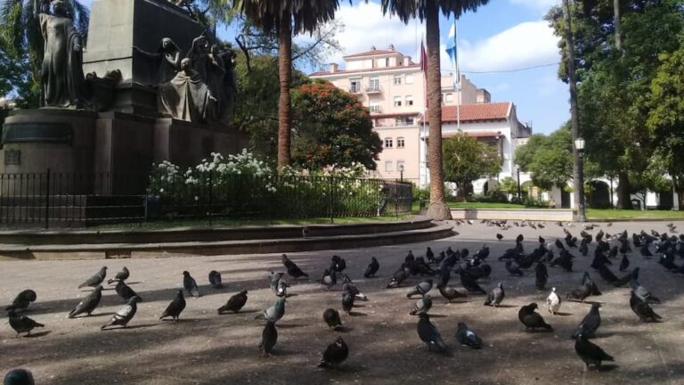 Plaza 9 de Julio. Foto Saltasoy